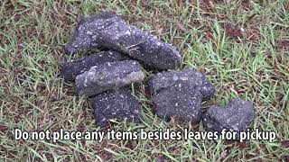 Rolesville Leaf Collection PSA