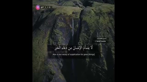 #تلاوات #ماهر_المعيقلي #ياسر_الدوسري #ناصر_القطامي #السديس #خالد_الغامدي(58)