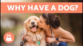 10 BENEFITS of ADOPTING a DOG 🐶✅ | Why Adopt a Dog?