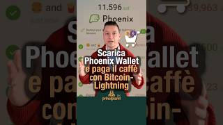 Phoenix Wallet e Lightning — come pagare con Bitcoin in pochi secondi | Bitcoin per principianti