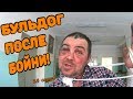 Один день среди бомжей / 28 серия - Бульдог после бойни! (18+)