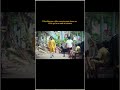 Pilla nibba me 🥲😆#viral #dasara #kubera #telugu