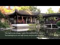 Connor&#39;s Poetry Reading, Lan Su Chinese Garden 2019 captions