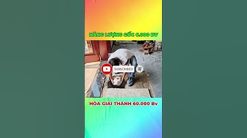 Sự Thật Đá Thạch Anh Có Giúp Tăng Tài Vận? #dathachanh #nguyenngocson #taivan #hoagiai #helo