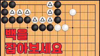 바둑 맥점 사활 - 죽기전에 꼭 알아야 하는 묘수입니다. 백을 잡아보세요