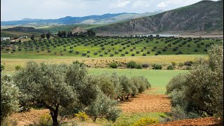 Webinar: The World Overview of Conservation Approaches and Technologies