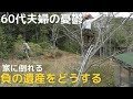 60代夫婦の憂鬱　家に傾く大木　負の遺産をどうする