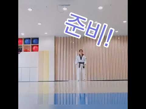 경희대최강태권도(홈태권)태극8장