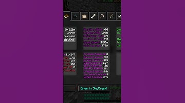 INSANE PROFILE STATS!! #shorts #hypixelskyblock #minecraft #sweet
