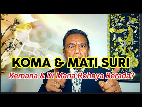 Video: Bahasa Apa Saja Yang Dinyatakan Mati