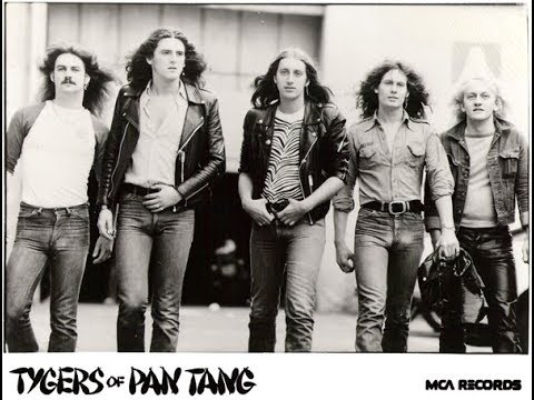 Tygers Of Pan Tang 
