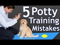 The 5 Most Common Potty Training Mistakes