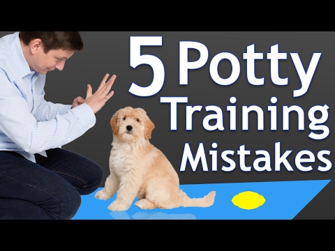 the-5-most-common-potty-training-mistakes