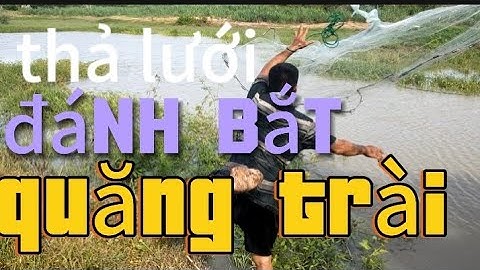 Quăng trài thả lưới đánh bắt cá cuộc sống mưu sinh thiên nhiên dân quê sinh tồn trên hồ nước ngọt