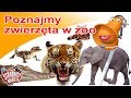 Strażnicy Miasta - Poznajmy zwierzęta w zoo