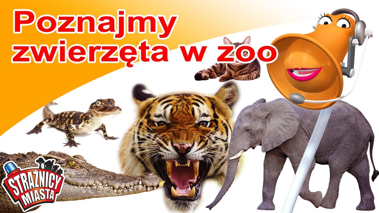 Strażnicy Miasta - Poznajmy zwierzęta w zoo