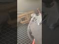 Metal Transformation #restoration #satisfying #sandblasting #metal