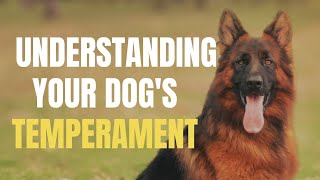 Understanding your Dog's Temperament