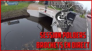 TOUCHE EN DIRECT - La pêche du BROCHET en polders hollandais.