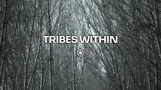 Native P. & Shredder SA - Tribes Within | WeAreiDyll Records | Afro House 2021