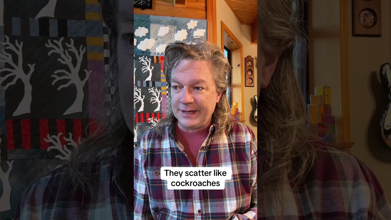 They Scatter Like Cockroaches 