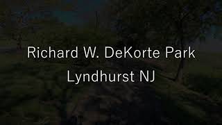 Lyndhurst NJ Meadowlands DeKorte Park