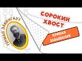 Сколько нужно занятий в неделю, чтобы запомнить язык?