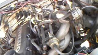 Butch26 224.avi