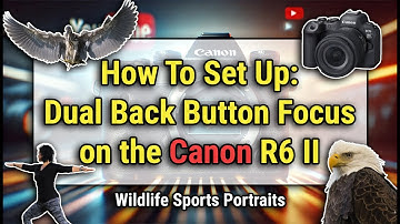 How To Set Up Dual Back Button Auto Focus for the Canon EOS R6 Mark ii | Wildlife & Sports Setup