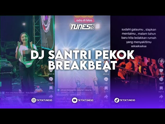 DJ SANTRI PEKOK BREAKBEAT X DJ ANDAI TAK BERPISAH BREAKBEAT REMIX BY @HANGLEYBREAKBEAT_017 class=