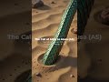 The Call of Allah to Musa (AS) | Cinematic Quran Animation♥️ #allah #shorts #trending #islamicstatus