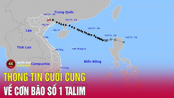Tin cuối cùng về cơn bão số 1 Talim | Tin mới nhất hôm nay | TV4K