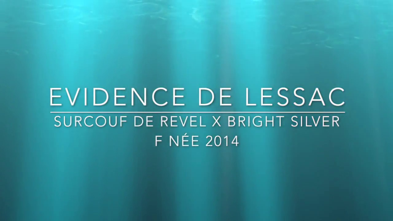 2018 02 Evidence de lessac