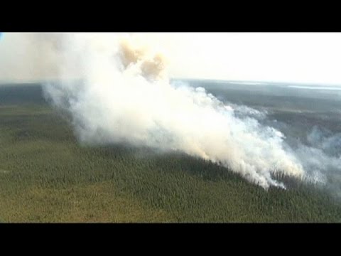 تصویری: آیا آتش سوزی جنگلی استرالیا پایان یافته است؟