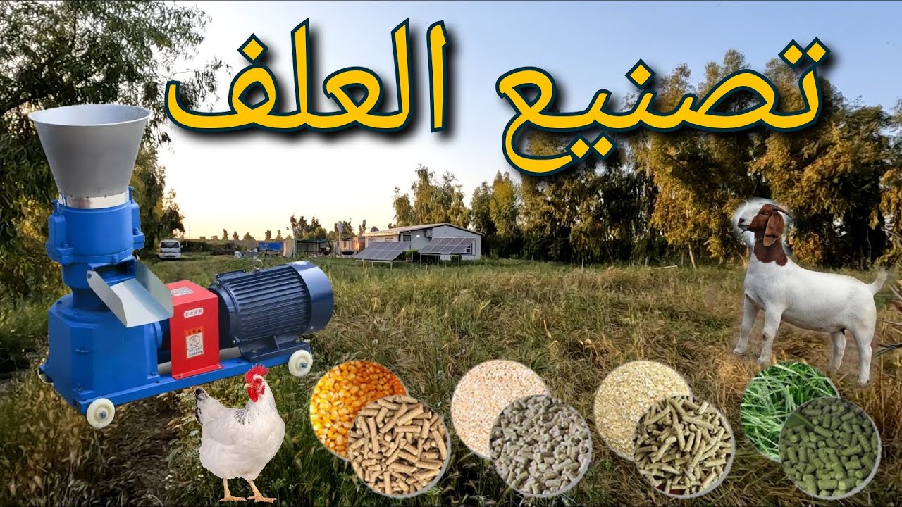 طريقة عمل ماكنة كابسة العلف و مدى نجاحها،مشاكل زراعة الشعير الأسود،  ولادة القطة تونا 🐈 (135)
