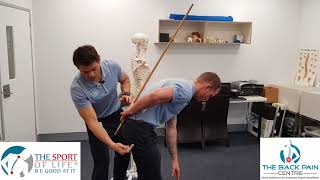 Concepts about the Disease of Movement Dysfunction causing Back Pain Symptoms
