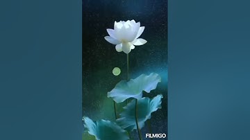 آيات الكرسي بصوت داعيه أسماء شقرون