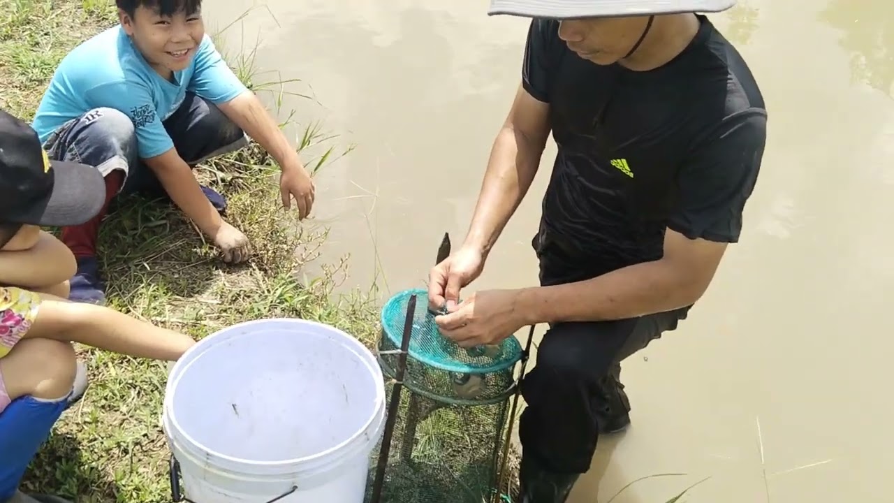 3 cha con đi thăm 10 cái lợp tép không biết có gì không nhỉ