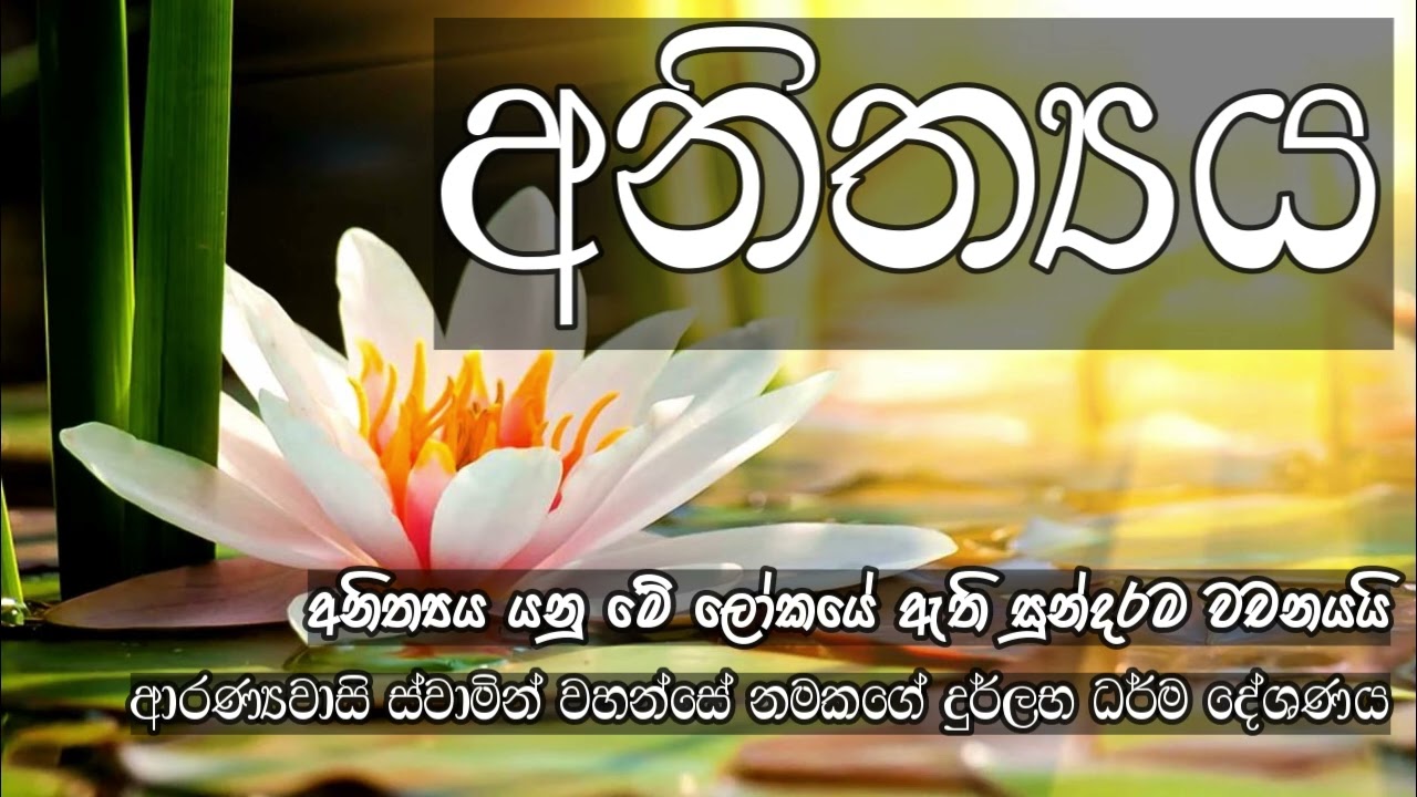 අනිත්‍ය | ආරණ්‍යවාසී ස්වාමීන් වහන්සේ නමක් නමක් සමග පවත්වන දුර්ලභ ධර්ම සාකච්ඡාව