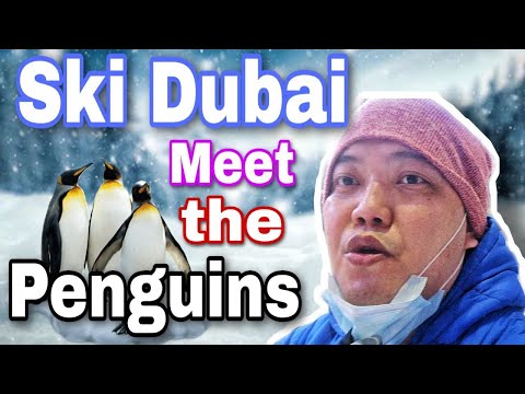 SKI DUBAI  MEET THE PENGUINS