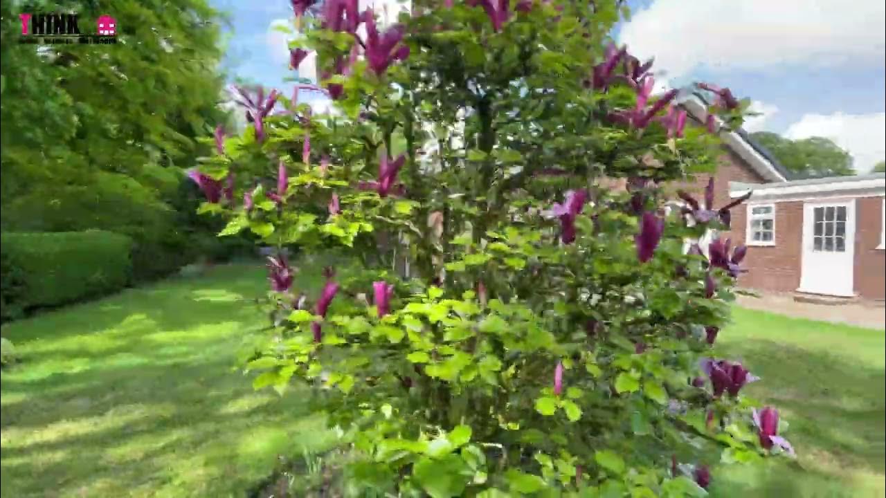 Haydock Park Gardens YouTube