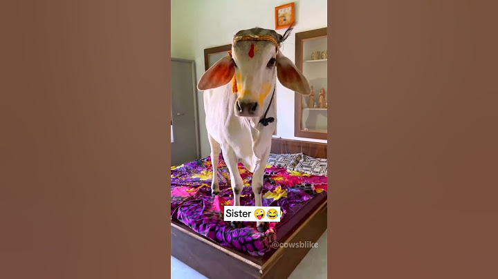 share your sister 😅😂🤗#sisters #sisterlove #youtubeshorts