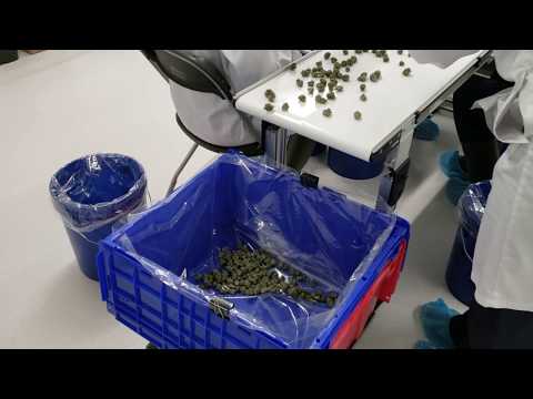Mobius M108S Cannabis Trimmer Dry Trimming Compilation 2019 - Best Automated Cannabis Trimmer