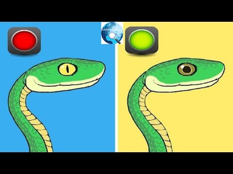 Video: Tất cả những người yêu thiên nhiên cần biết cách phân biệt rắn với rắn
