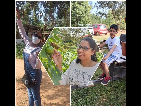 Fruit Picking Farm - Tractor Ride-  Tree House Bangalore