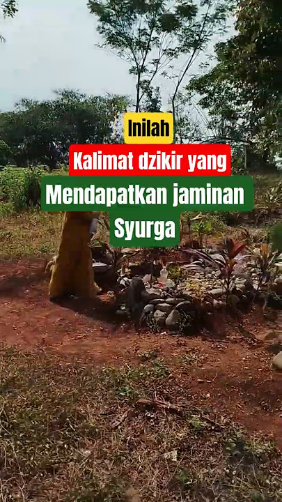 Kalimat Dzikir yang mendapatkan jaminan Surga #kajianislam #dzikir #surganeraka #shortsviral #fyp
