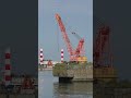 Deep Ship Horn Sound in Hokkaido Harbor 🚢🌊 #Shorts