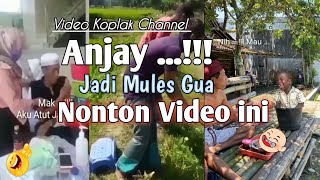 Anjay ..🤣🤣🤣 Mules Gua Nonton Video ini||funyvideo #