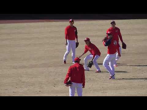 広島ｶｰﾌﾟ 春季ｷｬﾝﾌﾟ 外野陣ｺﾞﾛ捕球練習 2019年2月2日