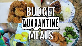 BUDGET quarantine Meals and Cook with me 2020!